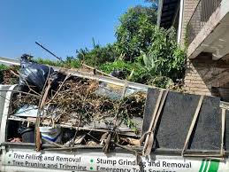 Professional Junk Removal  in Amherst, WI